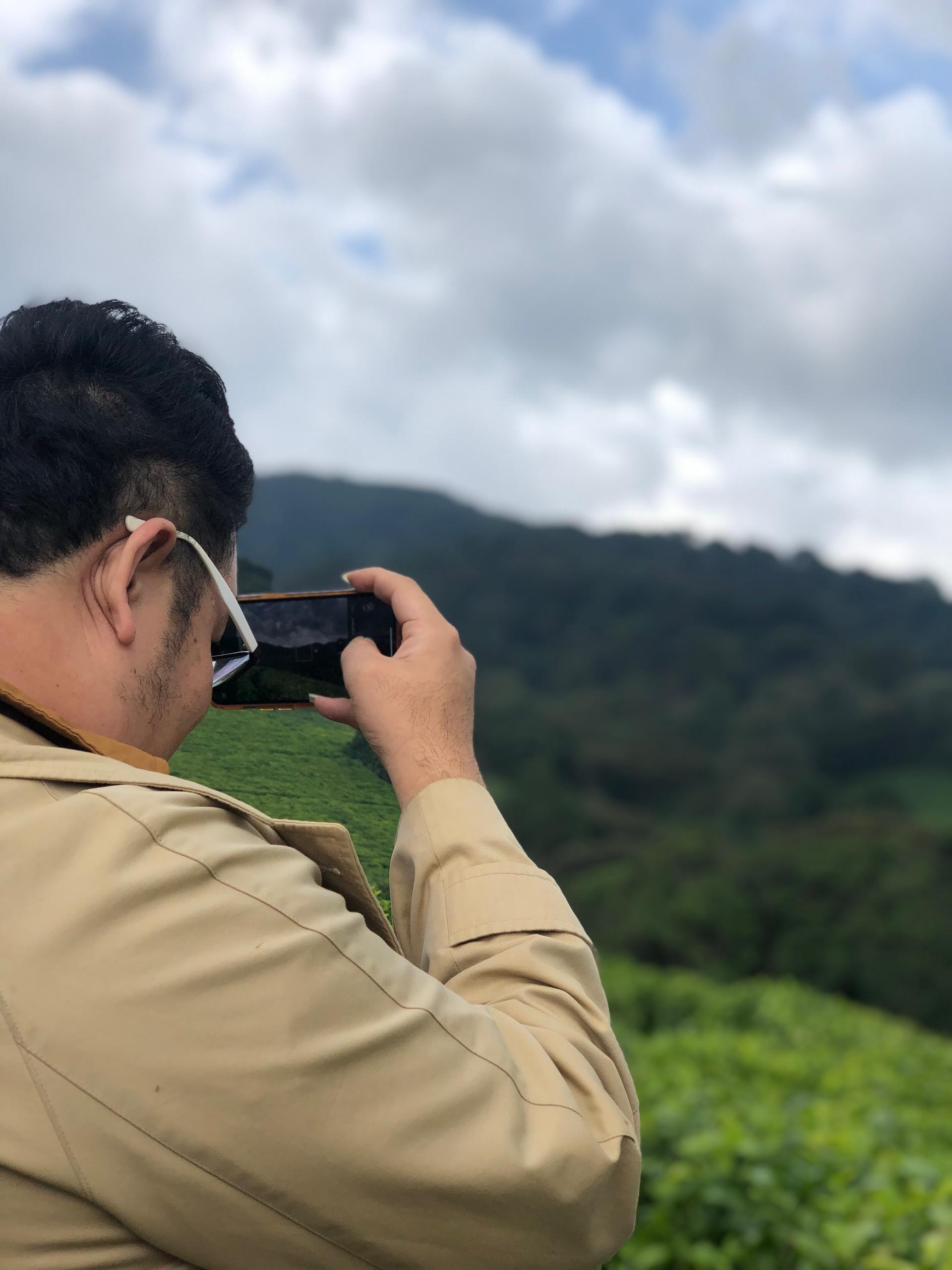 Morning mist above the tea fields at Teza